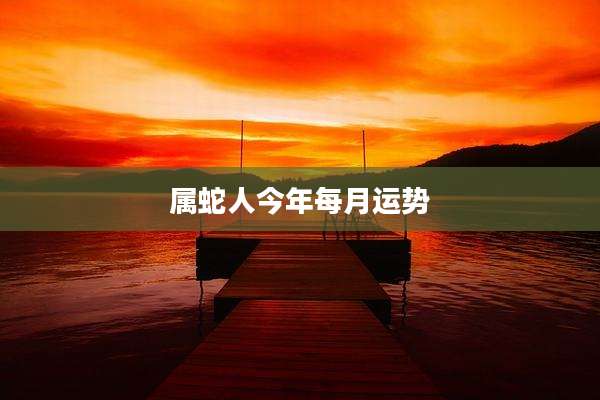 属蛇人今年每月运势