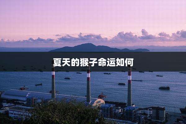 夏天的猴子命运如何