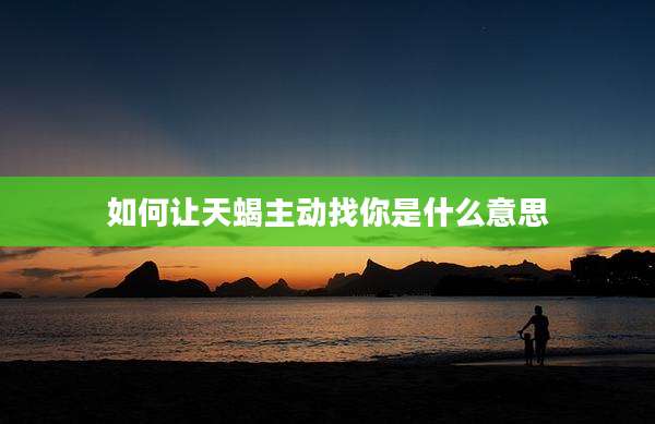 如何让天蝎主动找你是什么意思