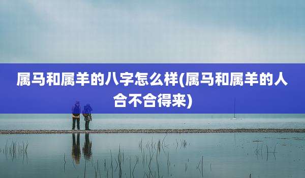 属马和属羊的八字怎么样(属马和属羊的人合不合得来)