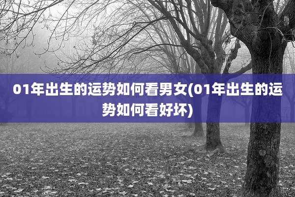 01年出生的运势如何看男女(01年出生的运势如何看好坏)