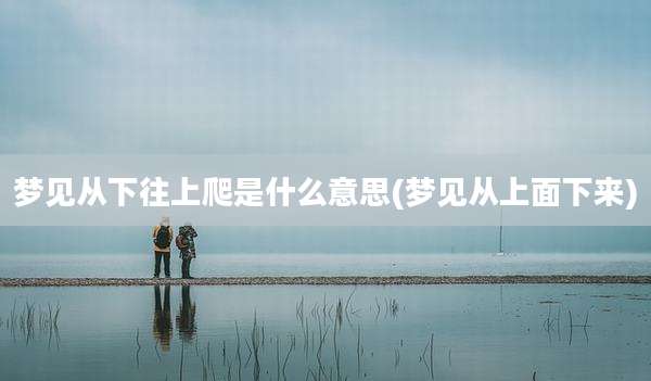 梦见从下往上爬是什么意思(梦见从上面下来)