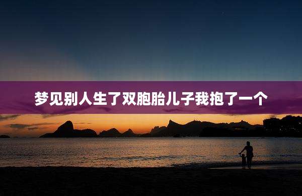 梦见别人生了双胞胎儿子我抱了一个