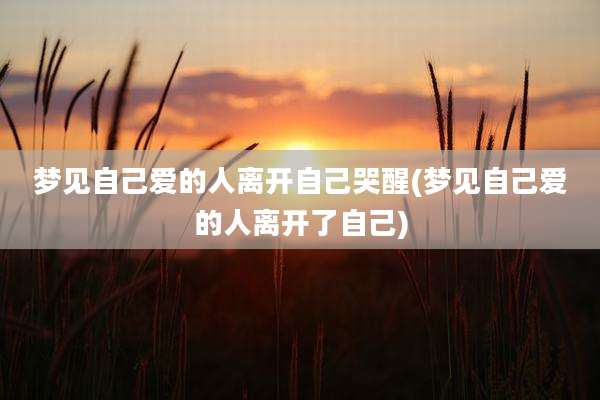 梦见自己爱的人离开自己哭醒(梦见自己爱的人离开了自己)
