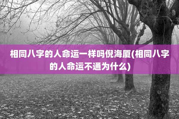 相同八字的人命运一样吗倪海厦(相同八字的人命运不通为什么)