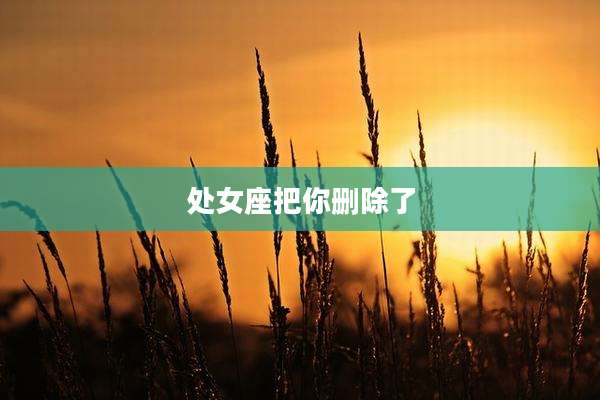 处女座把你删除了