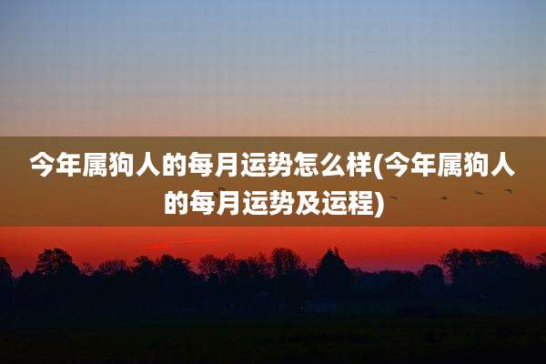 今年属狗人的每月运势怎么样(今年属狗人的每月运势及运程)