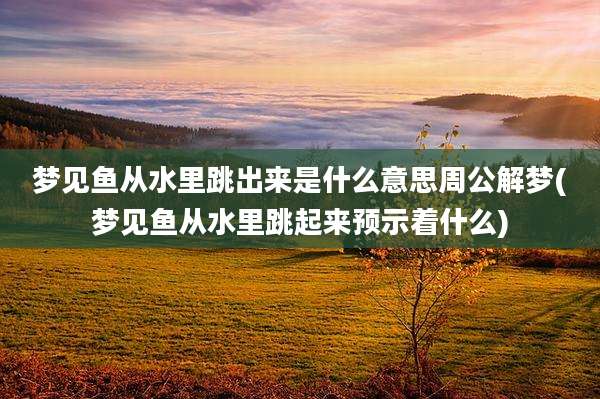 梦见鱼从水里跳出来是什么意思周公解梦(梦见鱼从水里跳起来预示着什么)