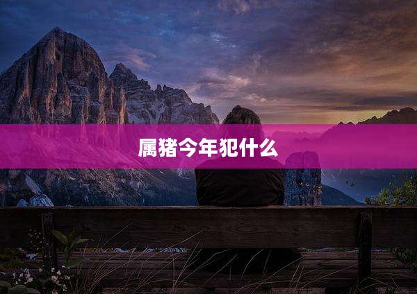 属猪今年犯什么