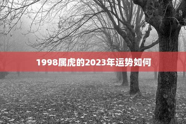 1998属虎的2023年运势如何
