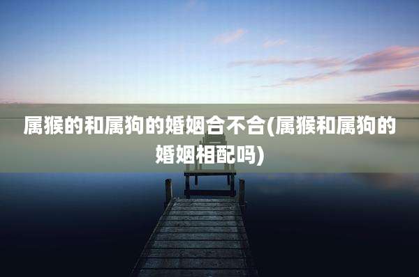 属猴的和属狗的婚姻合不合(属猴和属狗的婚姻相配吗)