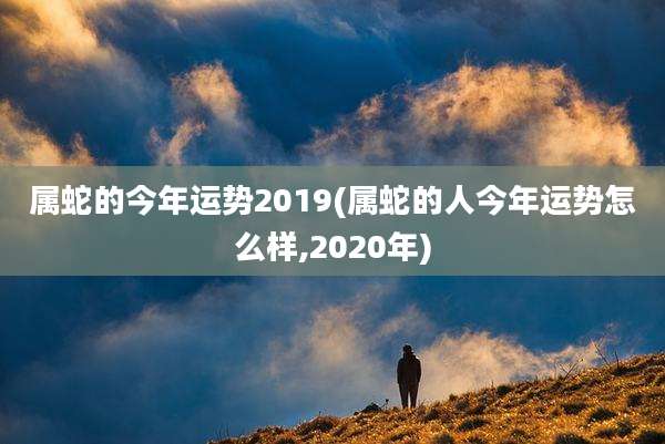 属蛇的今年运势2019(属蛇的人今年运势怎么样,2020年)