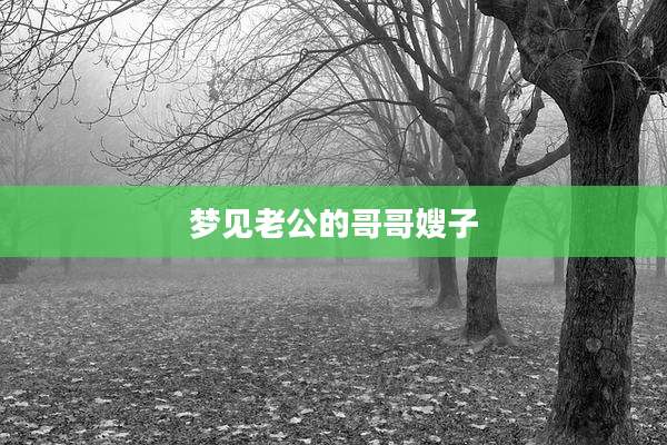 梦见老公的哥哥嫂子