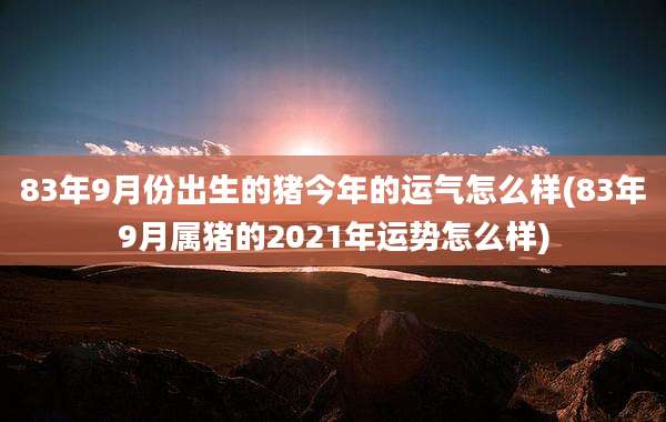 83年9月份出生的猪今年的运气怎么样(83年9月属猪的2021年运势怎么样)