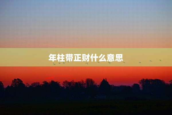 年柱带正财什么意思