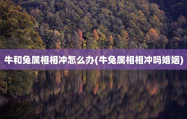 牛和兔属相相冲怎么办(牛兔属相相冲吗婚姻)