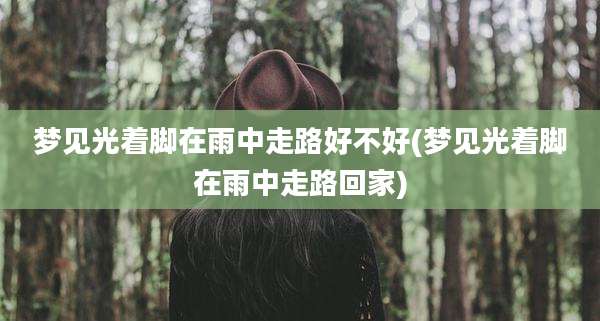 梦见光着脚在雨中走路好不好(梦见光着脚在雨中走路回家)
