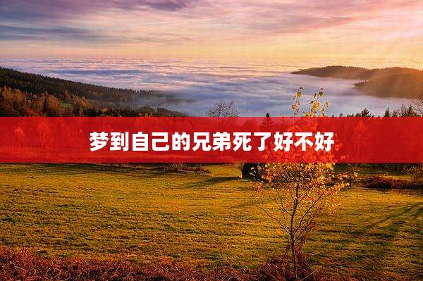 梦到自己的兄弟死了好不好