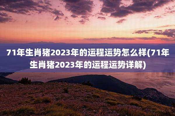 71年生肖猪2023年的运程运势怎么样(71年生肖猪2023年的运程运势详解)