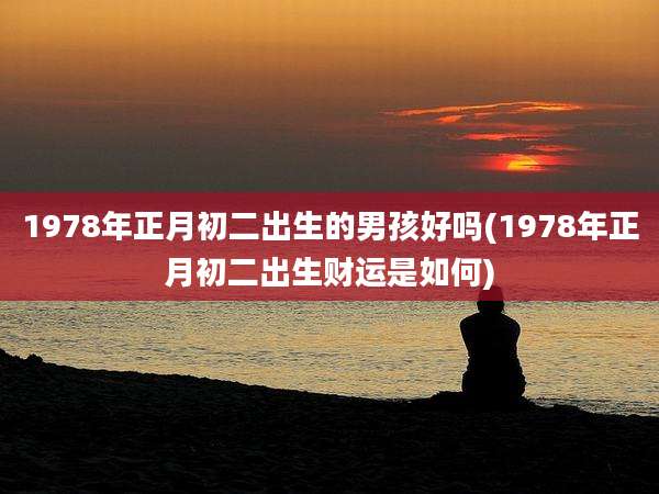 1978年正月初二出生的男孩好吗(1978年正月初二出生财运是如何)