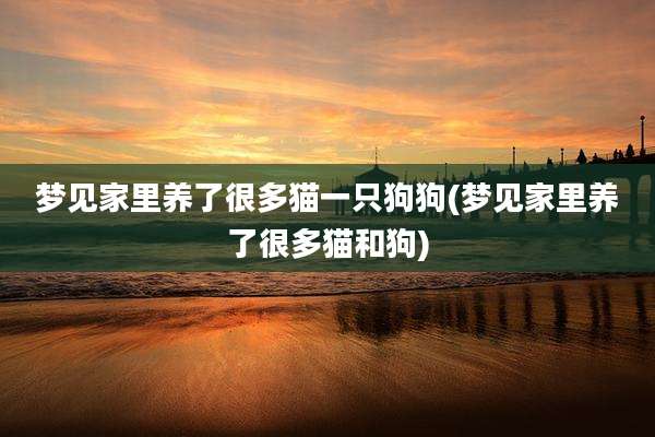 梦见家里养了很多猫一只狗狗(梦见家里养了很多猫和狗)