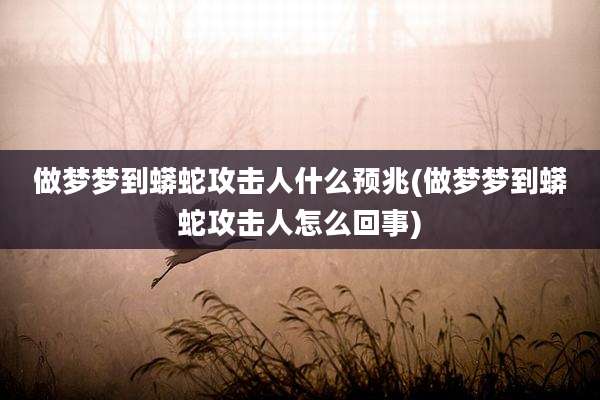 做梦梦到蟒蛇攻击人什么预兆(做梦梦到蟒蛇攻击人怎么回事)