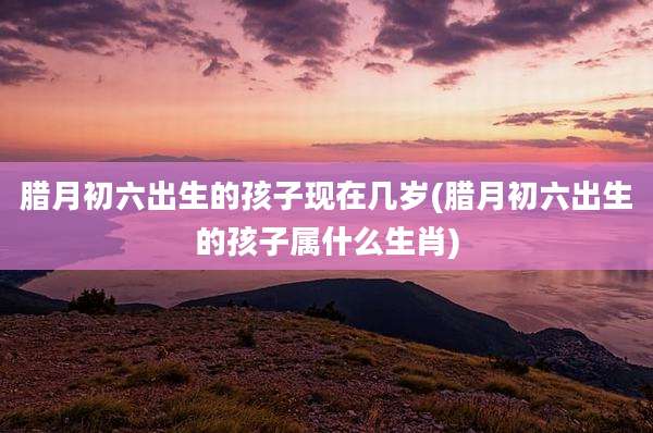 腊月初六出生的孩子现在几岁(腊月初六出生的孩子属什么生肖)