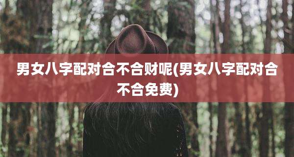 男女八字配对合不合财呢(男女八字配对合不合免费)