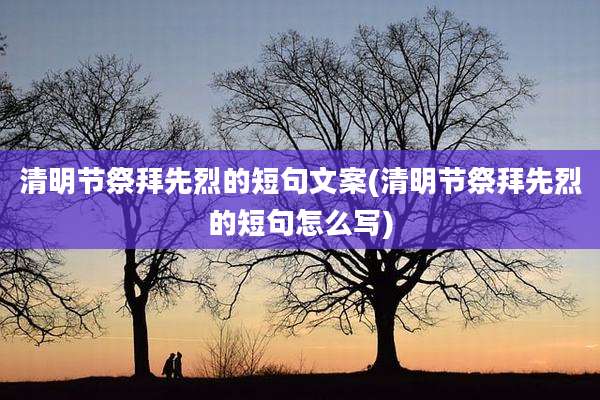 清明节祭拜先烈的短句文案(清明节祭拜先烈的短句怎么写)
