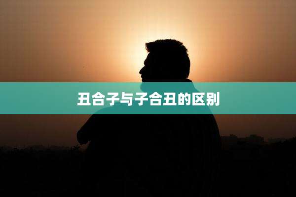 丑合子与子合丑的区别