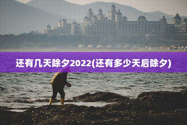 还有几天除夕2022(还有多少天后除夕)
