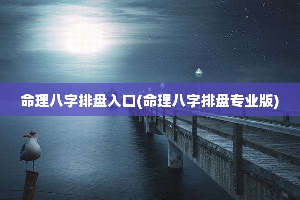命理八字排盘入口(命理八字排盘专业版)