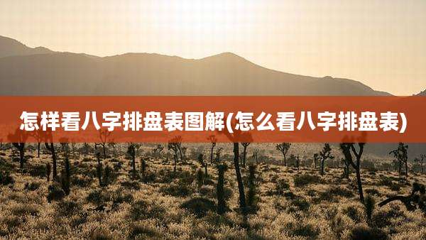 怎样看八字排盘表图解(怎么看八字排盘表)