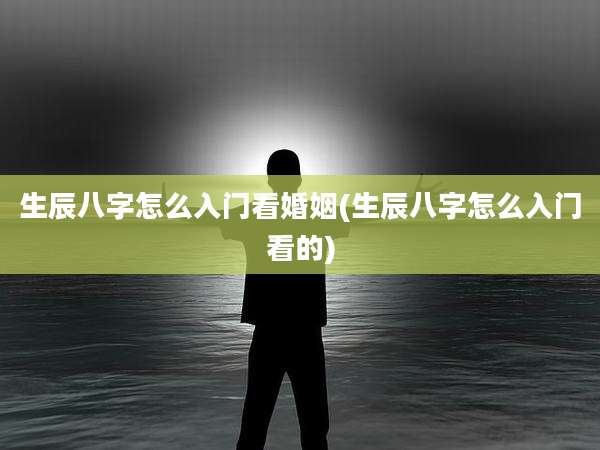 生辰八字怎么入门看婚姻(生辰八字怎么入门看的)