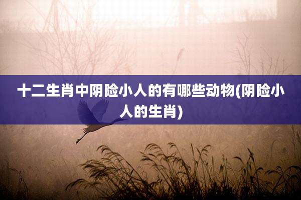 十二生肖中阴险小人的有哪些动物(阴险小人的生肖)
