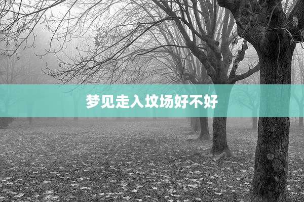 梦见走入坟场好不好