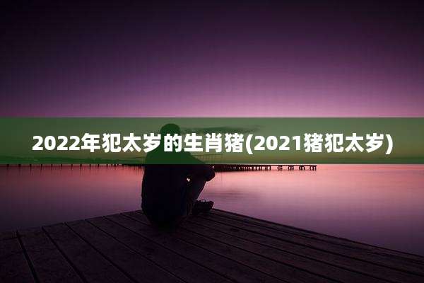 2022年犯太岁的生肖猪(2021猪犯太岁)