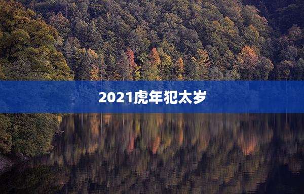 2021虎年犯太岁