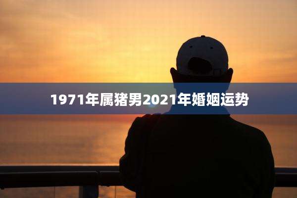 1971年属猪男2021年婚姻运势