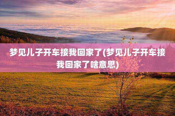梦见儿子开车接我回家了(梦见儿子开车接我回家了啥意思)
