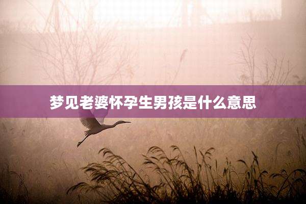 梦见老婆怀孕生男孩是什么意思