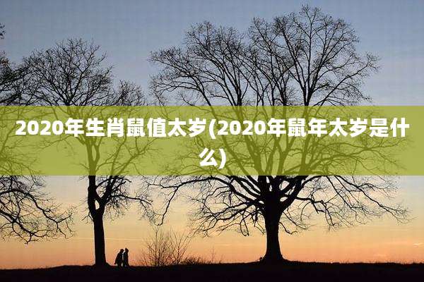 2020年生肖鼠值太岁(2020年鼠年太岁是什么)