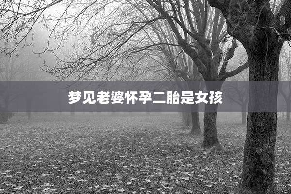 梦见老婆怀孕二胎是女孩