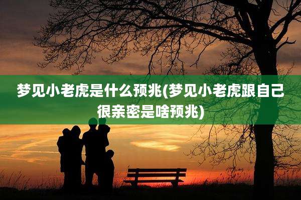 梦见小老虎是什么预兆(梦见小老虎跟自己很亲密是啥预兆)