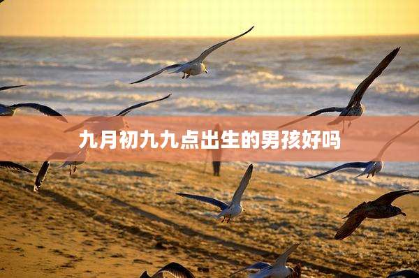 九月初九九点出生的男孩好吗