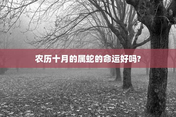 农历十月的属蛇的命运好吗?