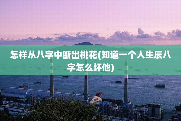 怎样从八字中断出桃花(知道一个人生辰八字怎么坏他)