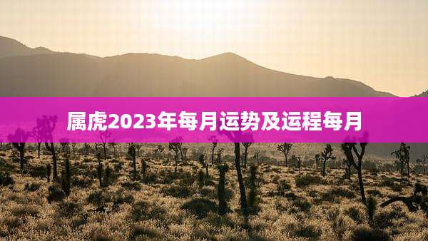 属虎2023年每月运势及运程每月
