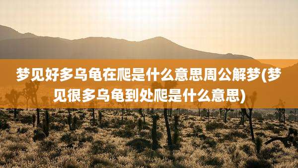 梦见好多乌龟在爬是什么意思周公解梦(梦见很多乌龟到处爬是什么意思)
