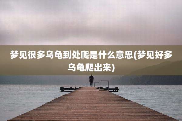 梦见很多乌龟到处爬是什么意思(梦见好多乌龟爬出来)